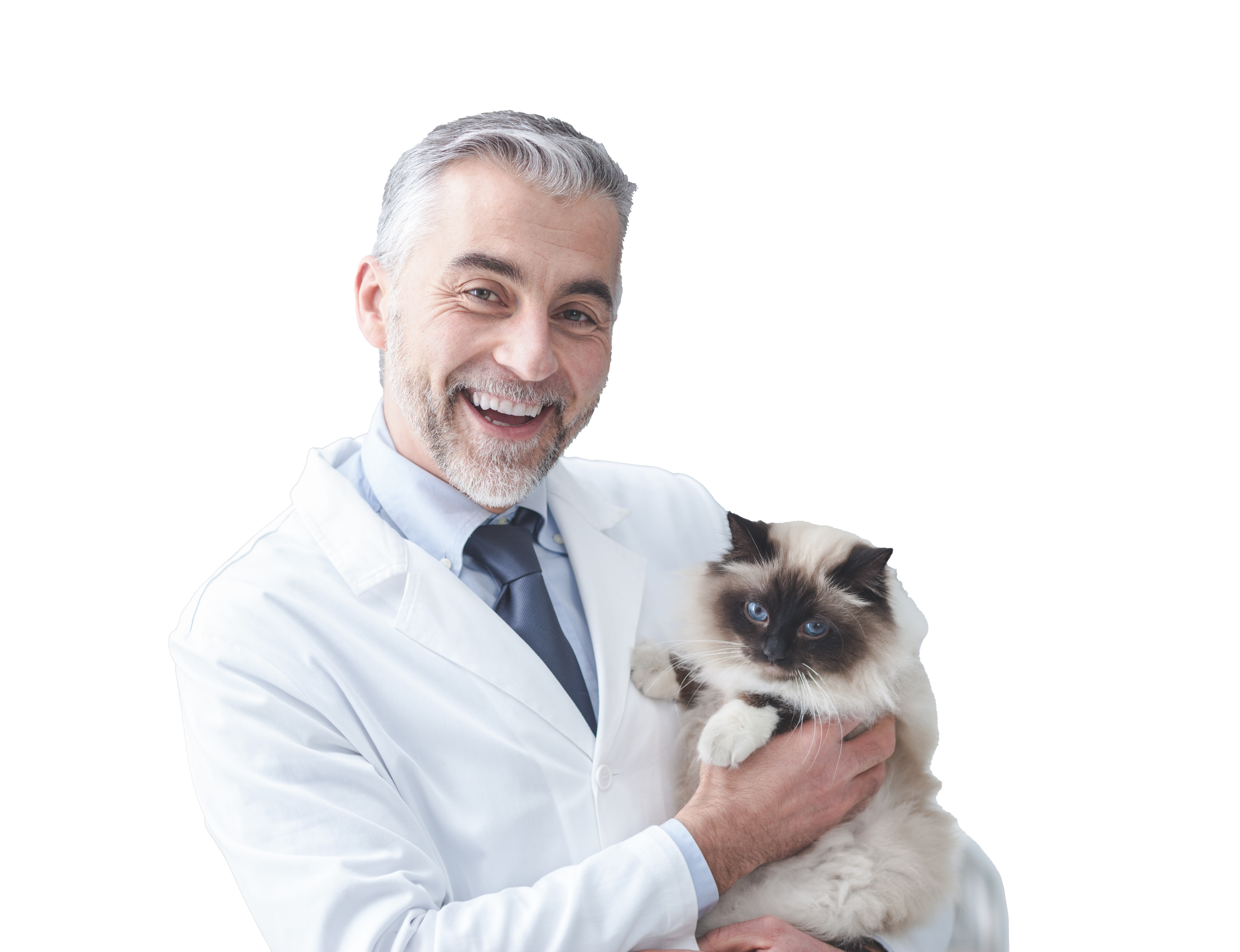 veterinarian with pets