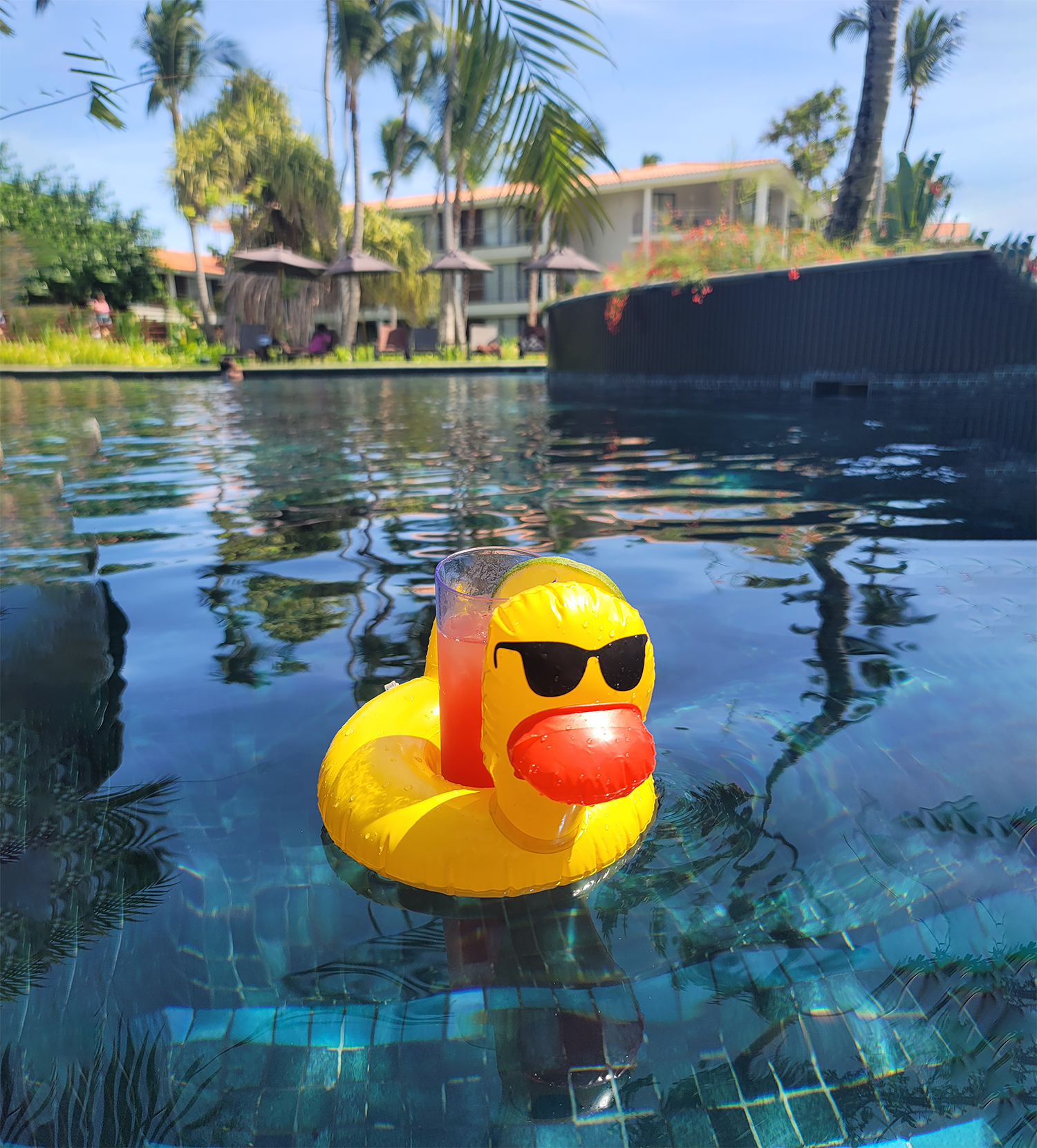 ducky floating in the pool